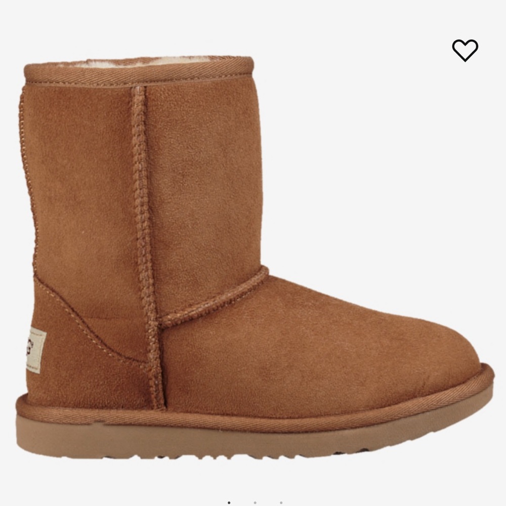 Chestnut Ugg Boots